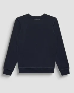 Felpa Antony Morato blu in misto cotone con stampa tigre floccata