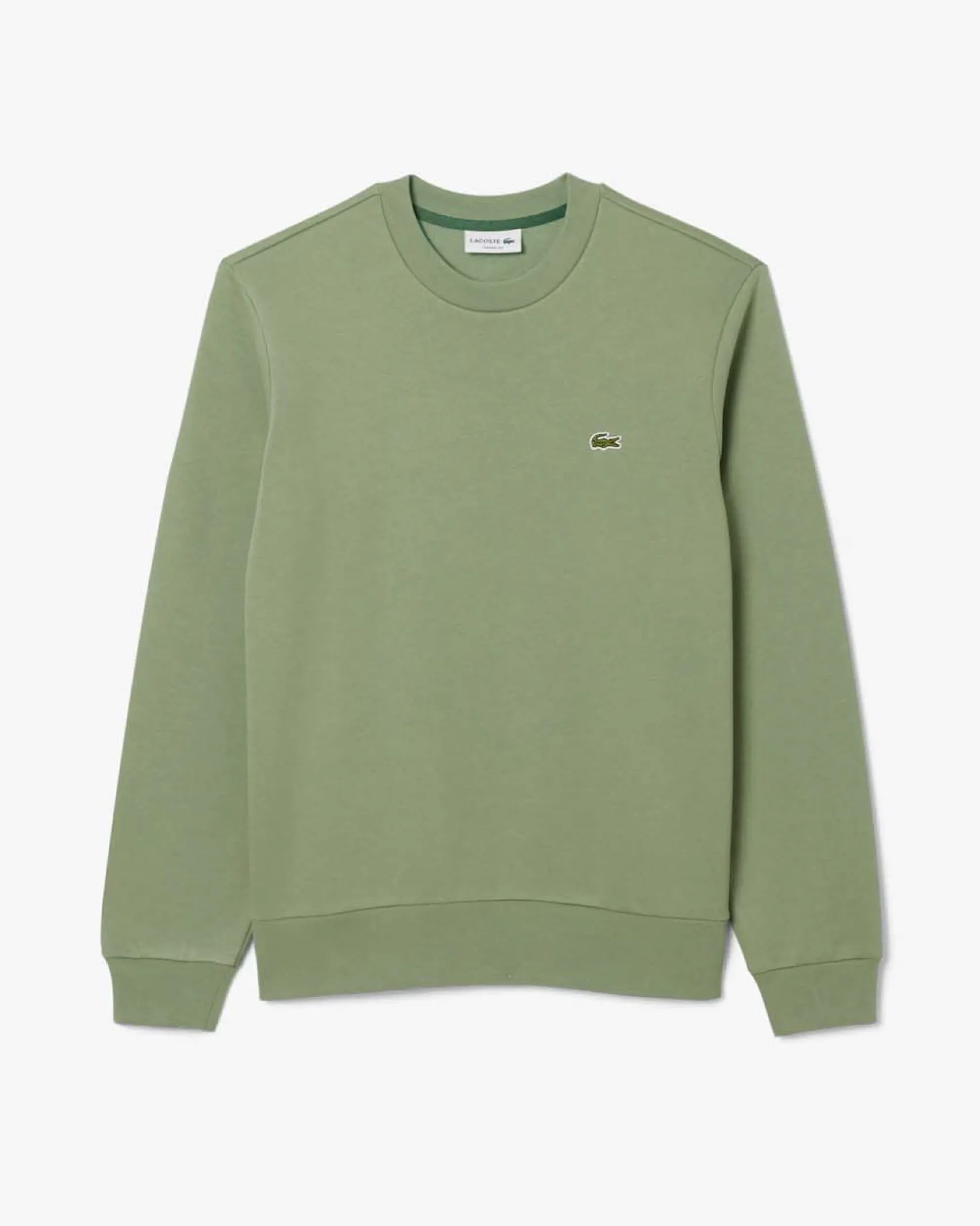 Felpa girocollo Lacoste verde salvia con logo coccodrillo ricamato sul petto