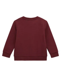 Felpa Guess bordeaux in puro cotone con stampa orsetto