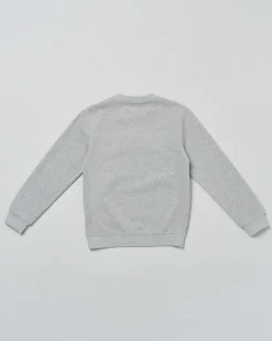 Felpa Jeckerson grigia in cotone con scritta logo blu spugna