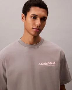T-shirt relaxed-fit Calvin Klein Jeans grigia in cotone con logo sul petto
