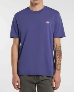 T-shirt avio Dickies mezza manica in jersey di puro cotone con stampa logo sul petto