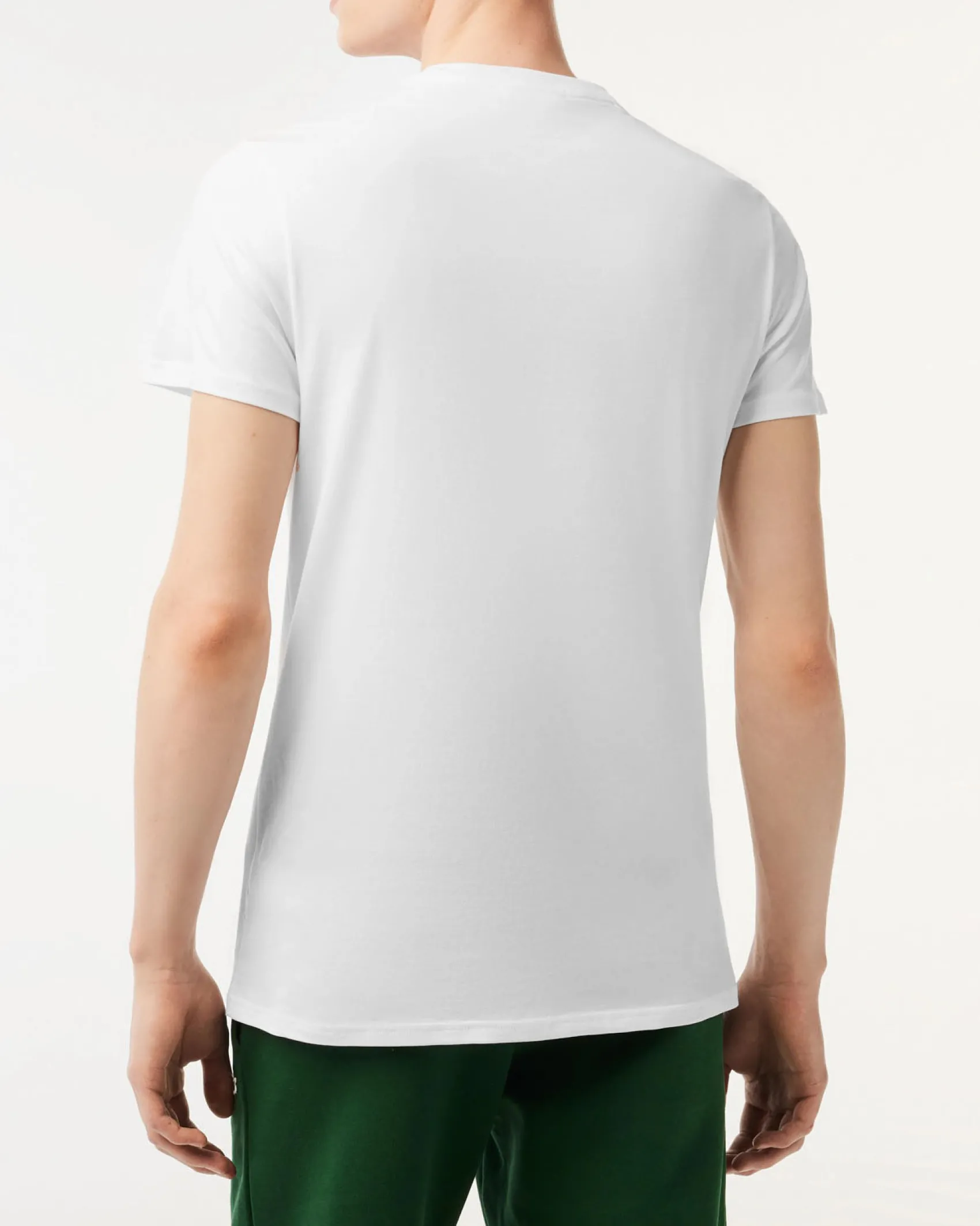 T-shirt Lacoste bianca in pima cotton con logo coccodrillo verde