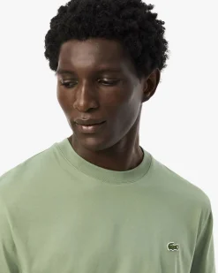 T-shirt Lacoste verde salvia mezza manica in puro cotone classic-fit