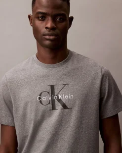 T-shirt relaxed-fit Calvin Klein Jeans grigia in cotone con logo monogramma ricamato frontale